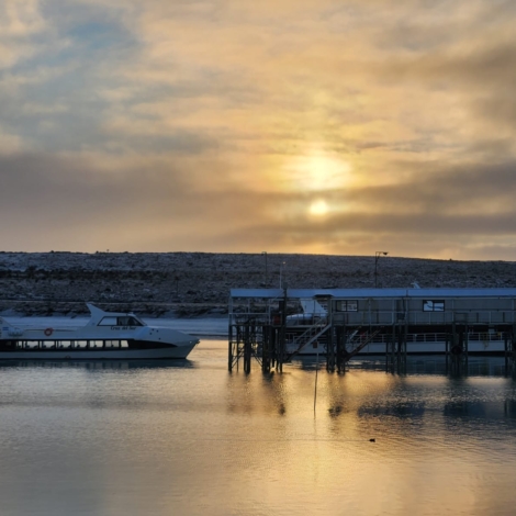 PHOTO-2025-01-09-21-37-31