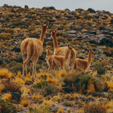 PHOTO-2025-01-09-21-37-44